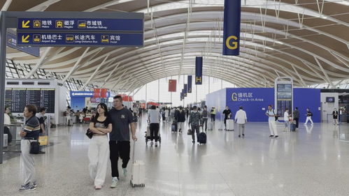雙節(jié)同慶客流井噴，上海機(jī)場(chǎng)日均客流首破40萬(wàn)大關(guān)折射出境游復(fù)蘇浪潮